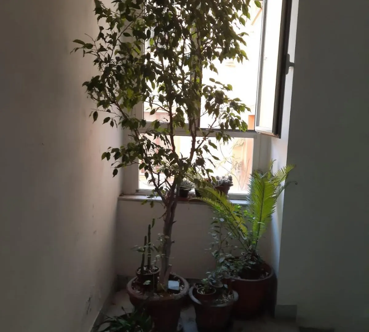 Ampio Appartamento In Centro Naples