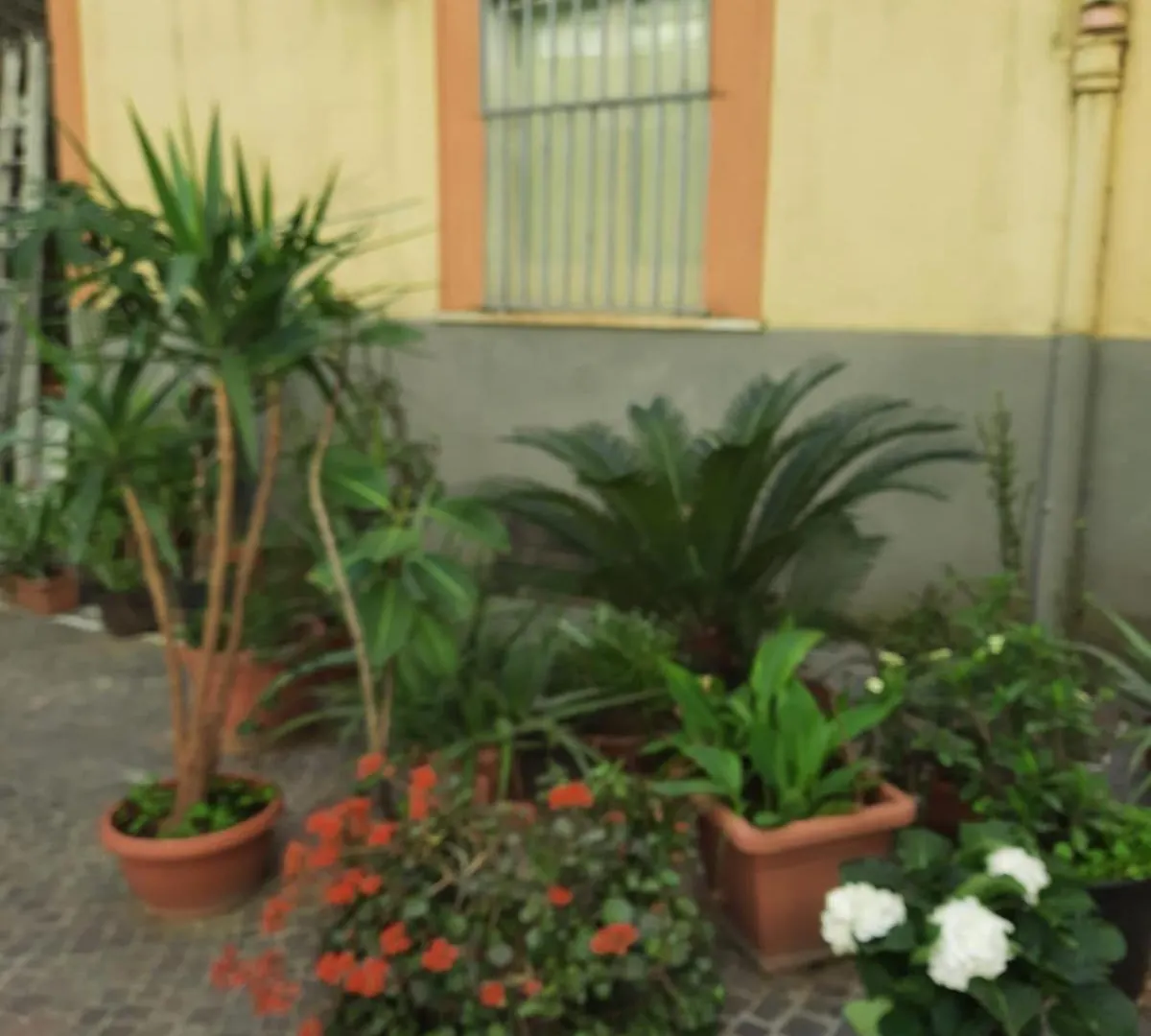 Ampio Appartamento In Centro Naples Apartment