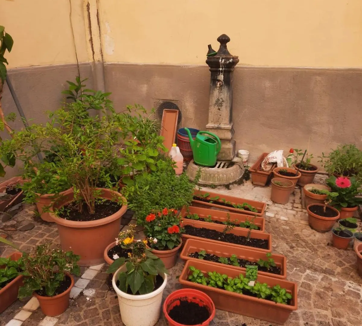 Apartment Ampio Appartamento In Centro Naples